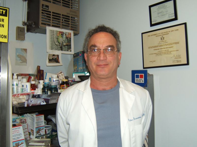 Dr. Gusmorino
